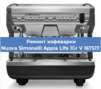 Замена фильтра на кофемашине Nuova Simonelli Appia Life 1Gr V 167517 в Екатеринбурге